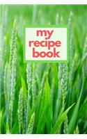 My Recipe Book