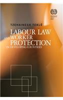 Labour Law and Worker Protection in Developing Countries