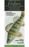 Freshwater Fishes of the Great Lakes