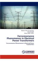 Ferroresonance Phenomenon in Electrical Power Transformers