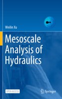 Mesoscale Analysis of Hydraulics