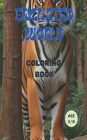 Enchanted World: Coloring Book
