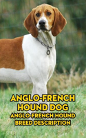 Anglo-French Hound Dog: Anglo-French Hound Breed Description: Anglo-French Hound Breed Description