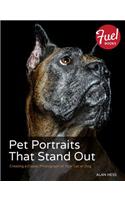 Pet Portraits That Stand Out