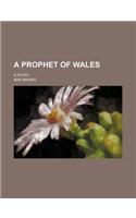 A Prophet of Wales; A Story