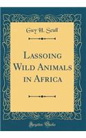 Lassoing Wild Animals in Africa (Classic Reprint)