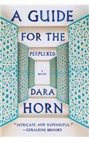 A Guide for the Perplexed: A Novel