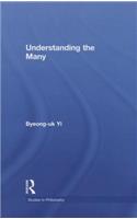 Understanding the Many: (Studies in Philosophy)
