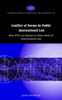 Conflict of Norms in Public International Law