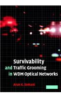 Survivability and Traffic Grooming in Wdm Optical Networks