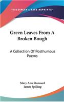 Green Leaves from a Broken Bough
