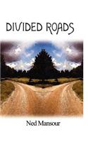 Divided Roads