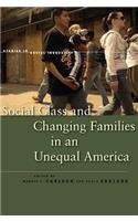 Social Class and Changing Families in an Unequal America