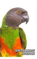 Senegal Parrot Notebook