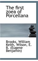 The First Zoea of Porcellana