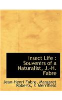 Insect Life