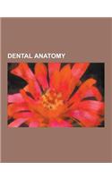 Dental Anatomy: Teeth, Horse Teeth, Tooth, Molar, Dentition, Cattle Age Determination, Toothpaste, Human Mandible, Dental Caries, Toot