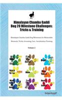 Himalayan Chamba Gaddi Dog 20 Milestone Challenges: Tricks & Training Himalayan Chamba Gaddi Dog Milestones for Memorable Moments, Tricks, Grooming, Care, Socialization Training Volume 2