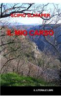 mio carso