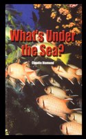 What's Under the Sea?