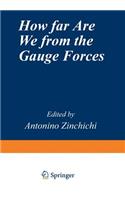 How Far Are We from the Gauge Forces