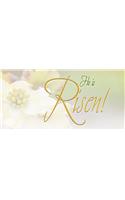 Risen Easter Dogwood Offering Envelope (Pkg of 50)