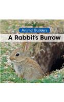 A Rabbit's Burrow: (Animal Builders)
