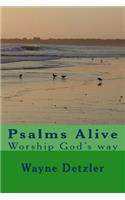 Psalms--A Devotional Commentary