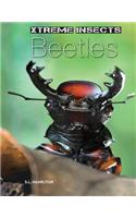 Beetles