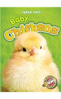 Baby Chickens: (Super Cute!)