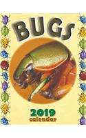 Bugs 2019 Calendar