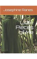 Little Pieces of Me