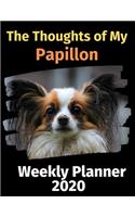 The Thoughts of My Papillon