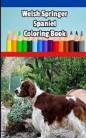 Welsh Springer Spaniel Coloring Book