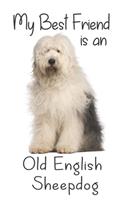 My best Friend is an Old English Sheepdog
