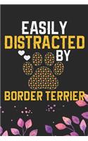 Easily Distracted by Border Terrier