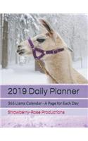 2019 Daily Planner: 365 Llama Calendar - A Page for Each Day