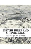 British Sheep and Shepherding