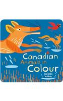 Canadian Animals in Colour
