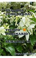 Palabra Comentada Tiempo Ordinario Semana VI