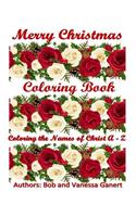 Merry Christmas Coloring Book