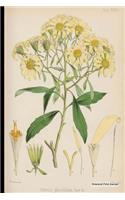 Botanical Print Journal