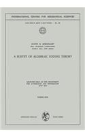 Survey of Algebraic Coding Theory: Lectures Held at the Department of Automation and Information, July 1970