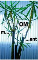 m...OM...ent
