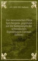 Zur Mesozoischen Flora Spitzbergens