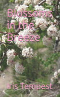 Blossoms in the Breeze