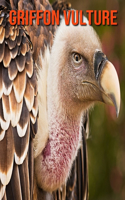 Griffon Vulture: Amazing Facts about Griffon Vulture