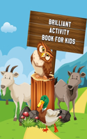 Brilliant Activity Book for Kids