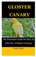 Gloster Canary: The Essential Guide On How To Care For A Gloster Canary.