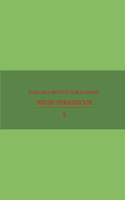 B'ajlom ii Nkotz'i'j Publications' Welsh Phrasebook